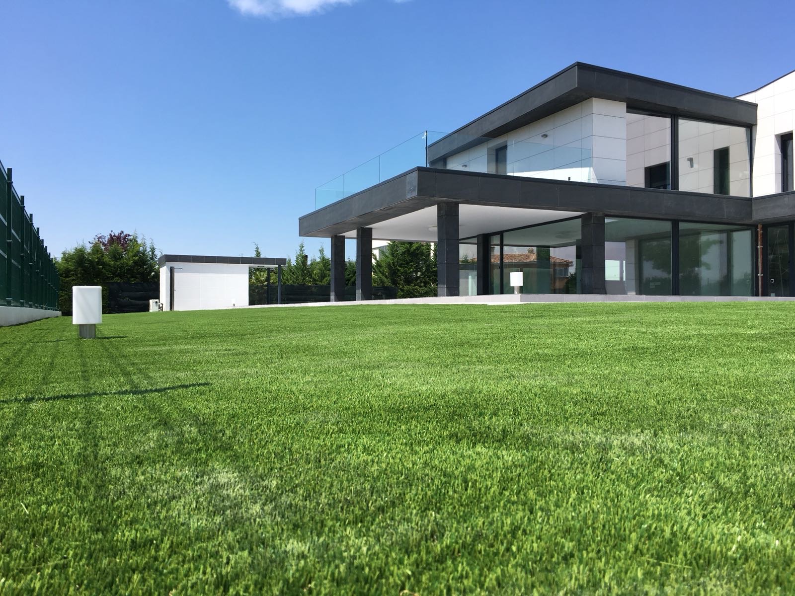 Imagen representativa de CenturyGrass